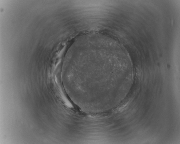 X0000073890818200609082120