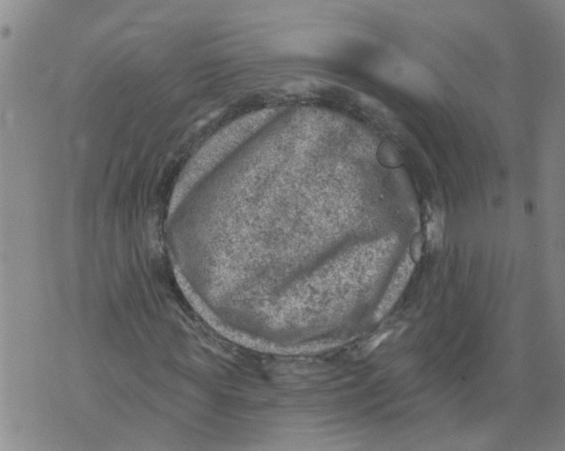 X0000073890819200609082120