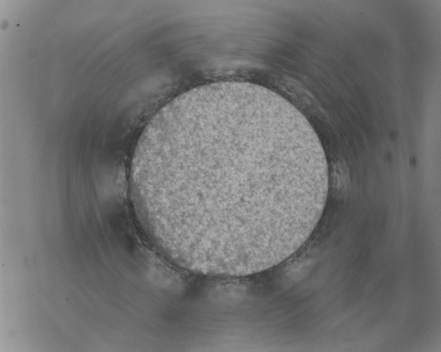 X0000073890820200609082120