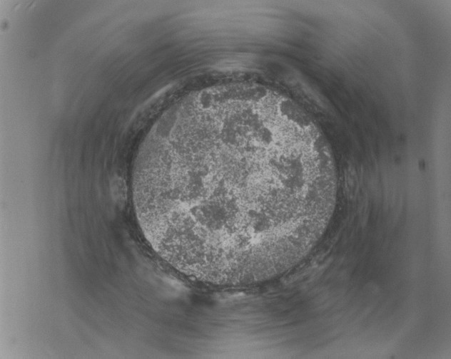 X0000073890821200609082120