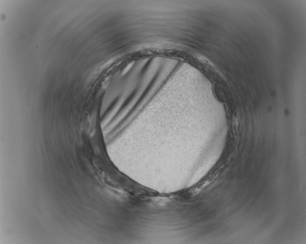 X0000073890822200609082120