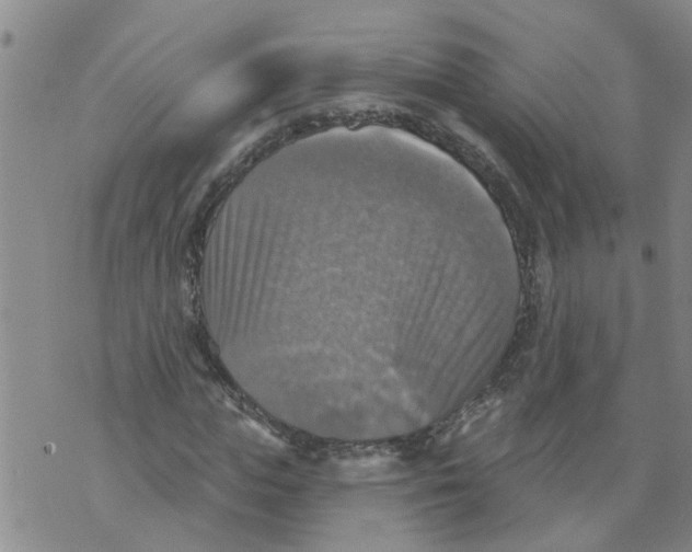 X0000073890823200609082120