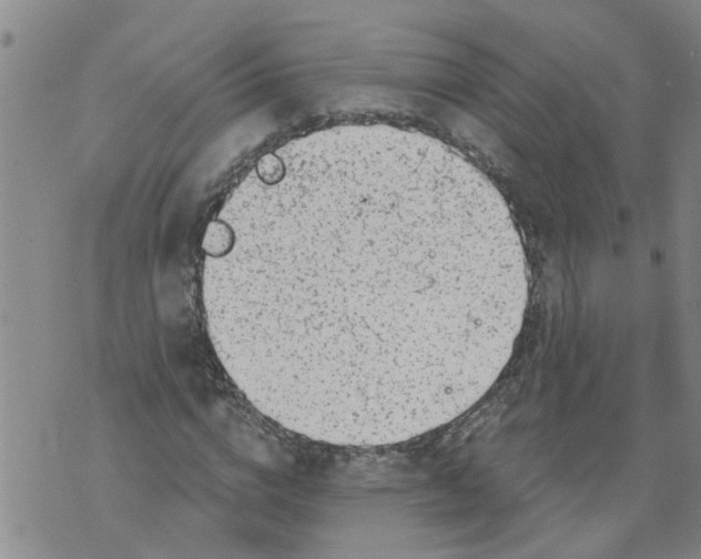 X0000073890824200609082121