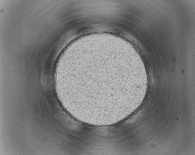 X0000073890828200609082121