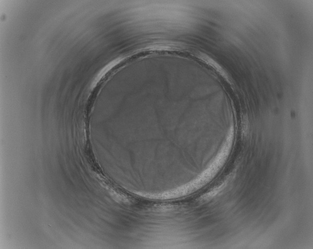 X0000073890829200609082121