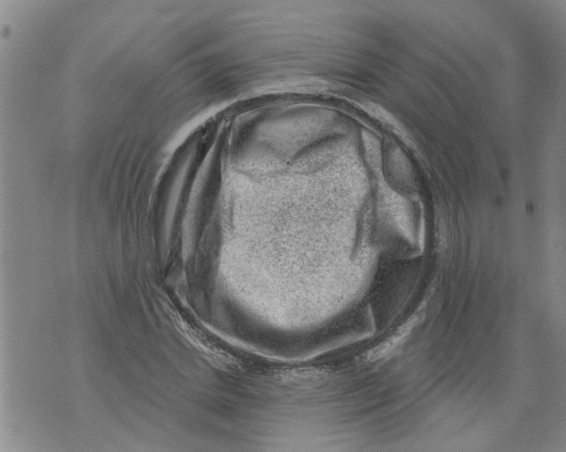 X0000073890830200609082121