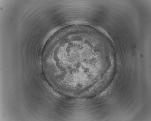 X0000073890831200609082121