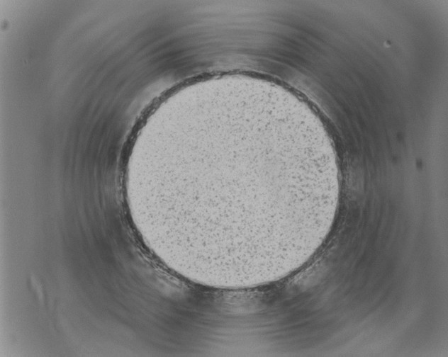 X0000073890832200609082121