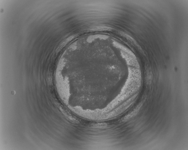 X0000073890833200609082121