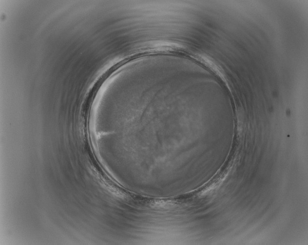 X0000073890835200609082121