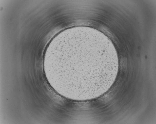 X0000073890836200609082121