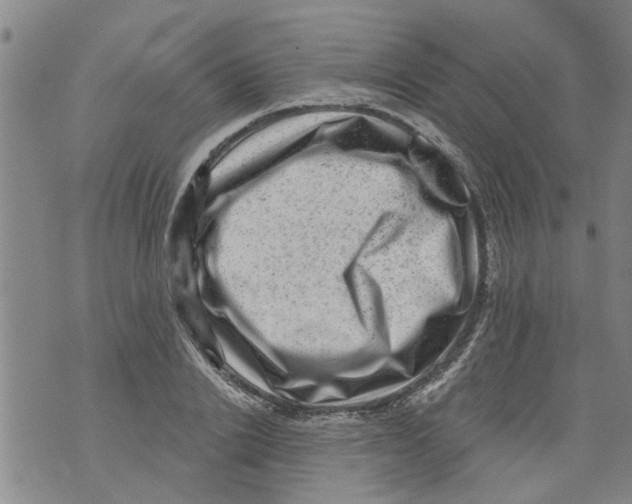 X0000073890838200609082121