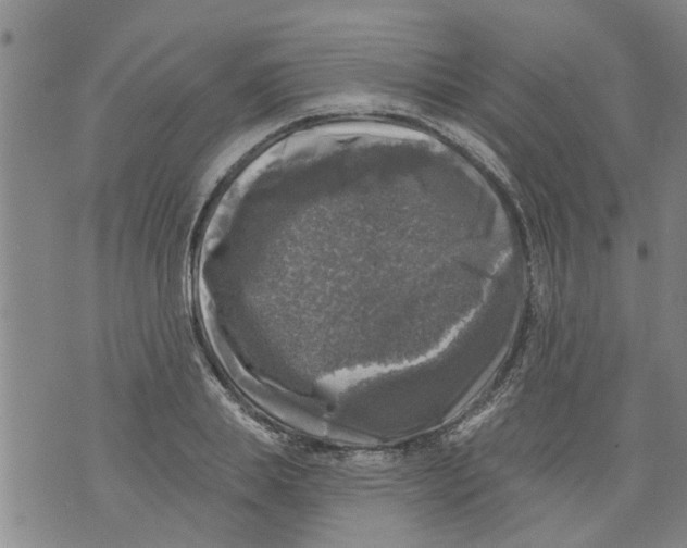 X0000073890839200609082121