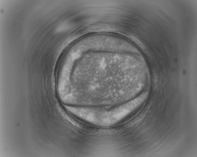 X0000073890840200609082121