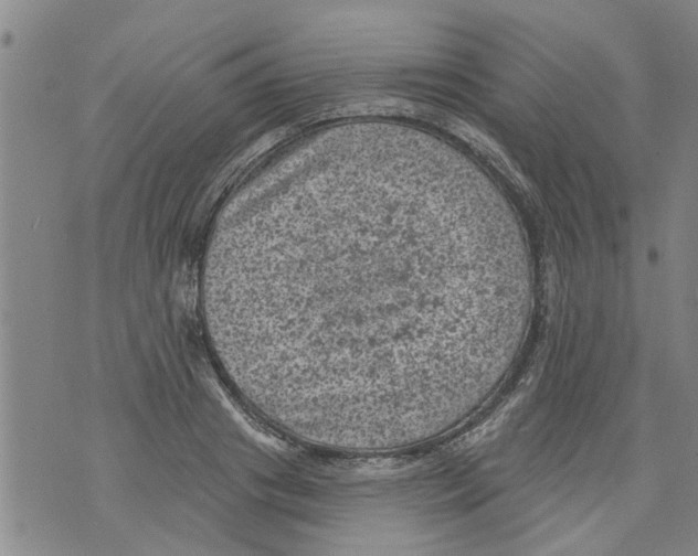 X0000073890841200609082121