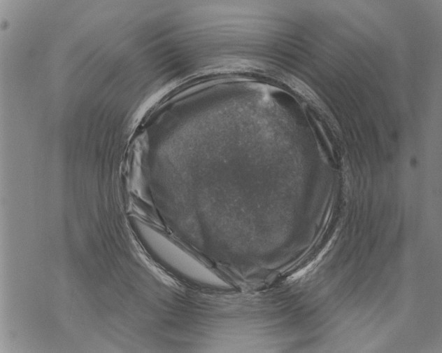 X0000073890842200609082121