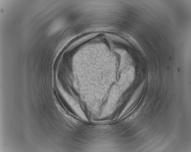 X0000073890844200609082121