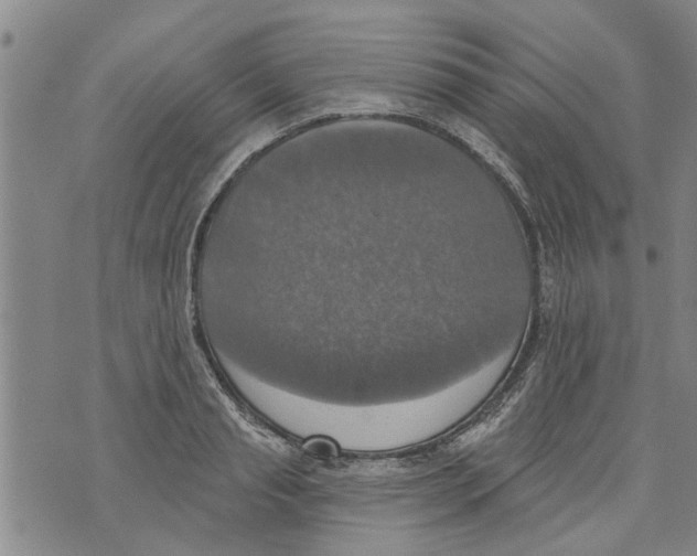 X0000073890845200609082121