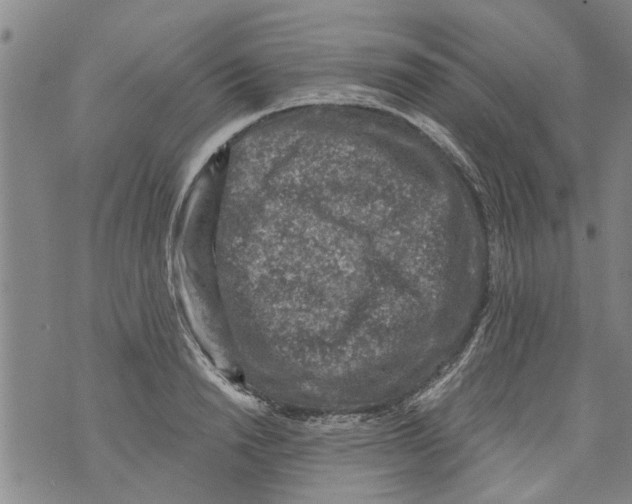 X0000073890846200609082121