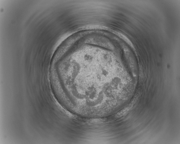 X0000073890847200609082121