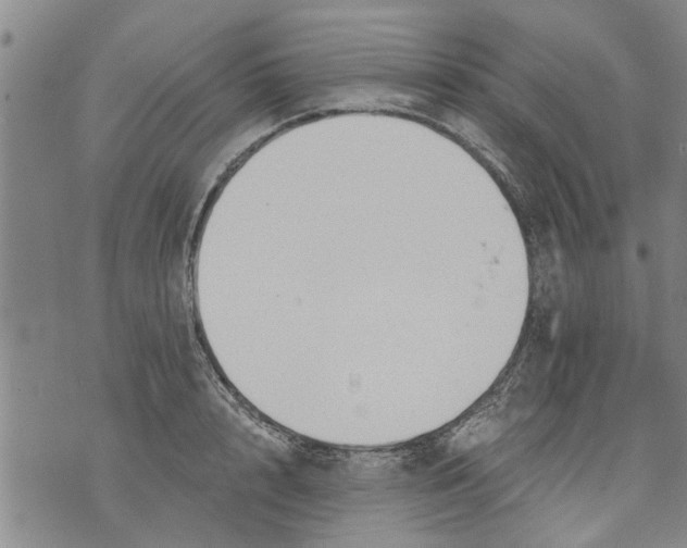 X0000073890848200609082121