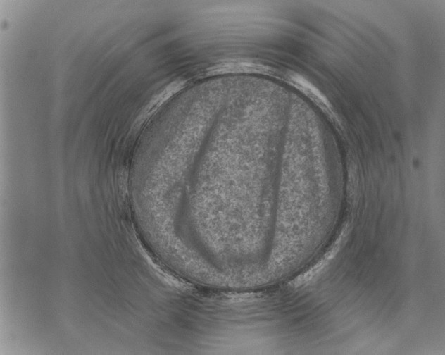 X0000073890849200609082121