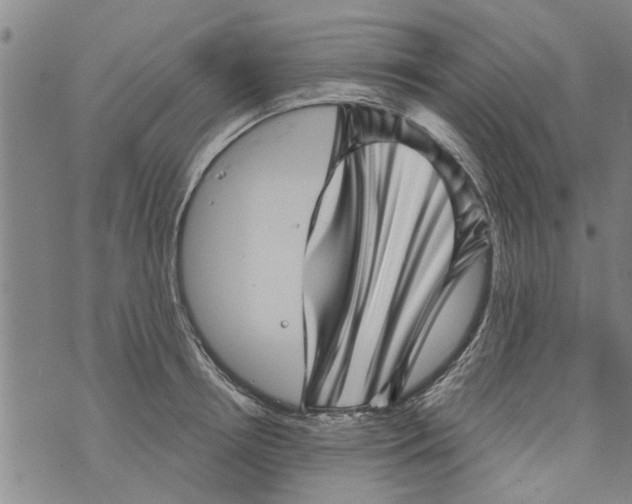 X0000073890850200609082121