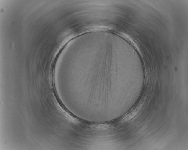 X0000073890851200609082121