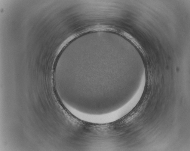 X0000073890853200609082121