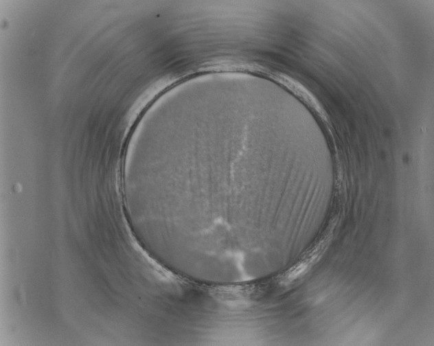 X0000073890855200609082121