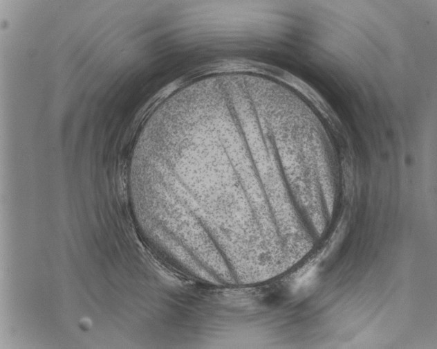 X0000073890857200609082121