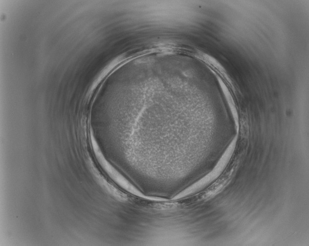 X0000073890859200609082121