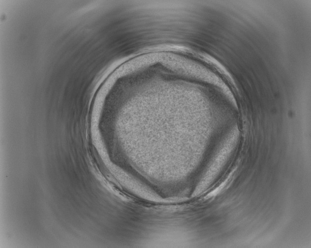 X0000073890860200609082121