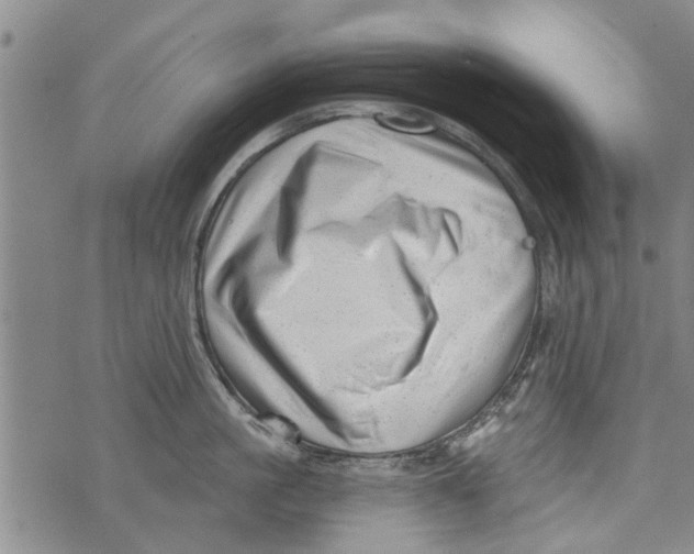 X0000073890861200609082121