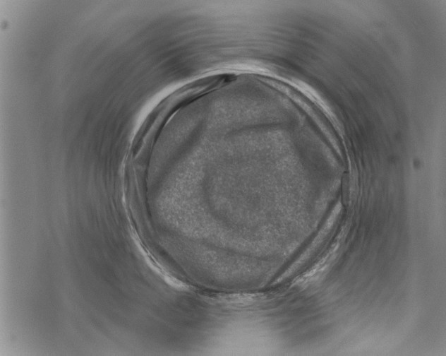 X0000073890862200609082121