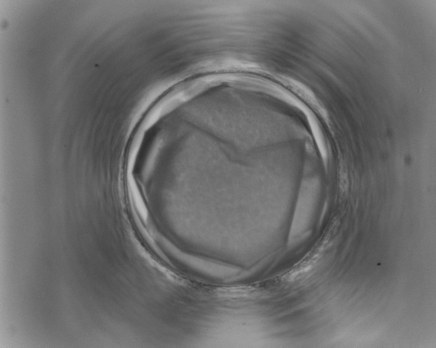 X0000073890863200609082121