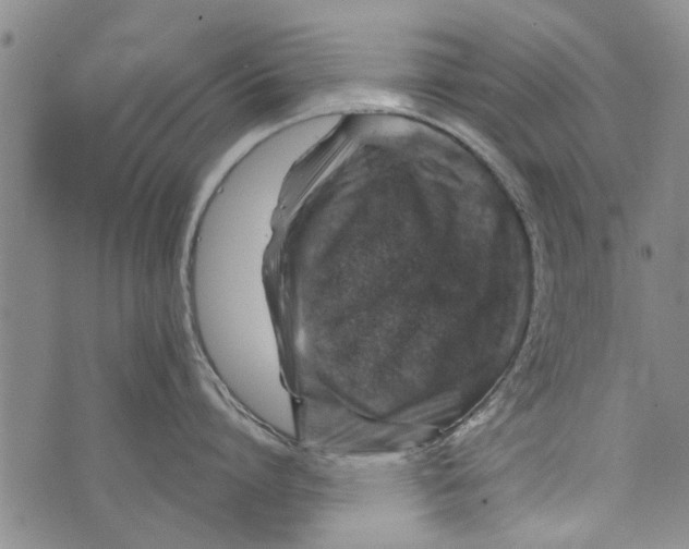 X0000073890864200609082121