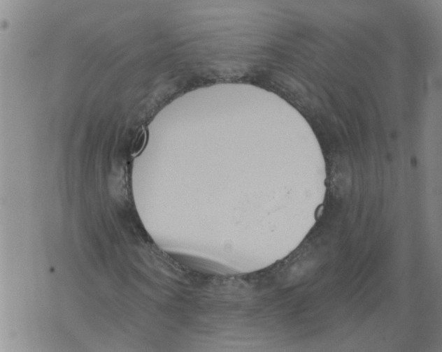 X0000073890866200609082120