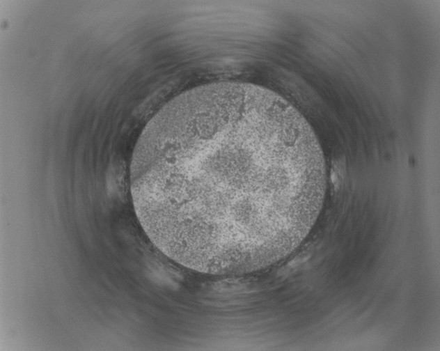 X0000073890867200609082120