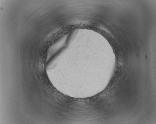 X0000073890869200609082120