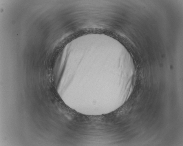 X0000073890870200609082120