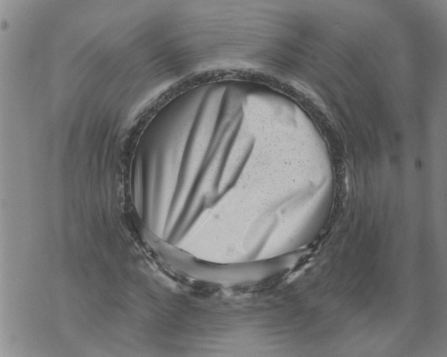 X0000073890872200609082120