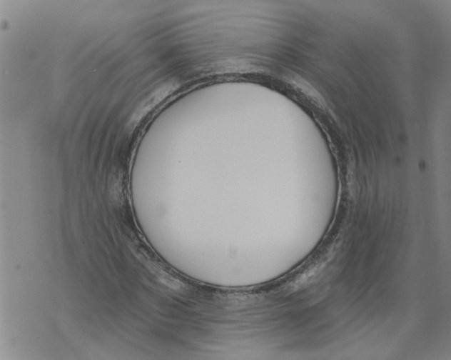 X0000073890873200609082120