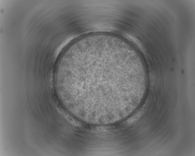 X0000073890875200609082120