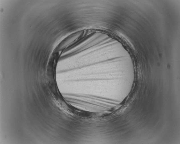 X0000073890876200609082120