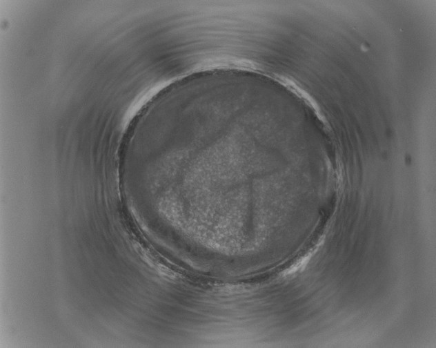 X0000073890877200609082120