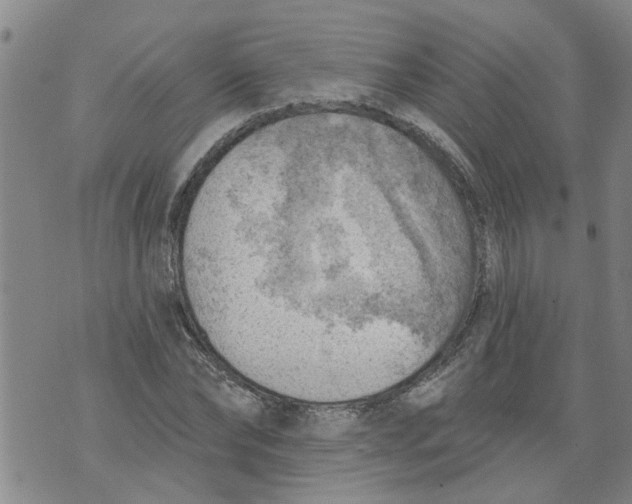 X0000073890878200609082120