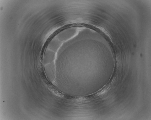 X0000073890879200609082120