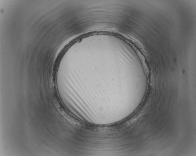 X0000073890880200609082120