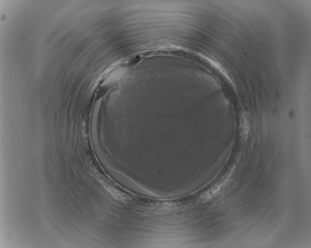 X0000073890881200609082120